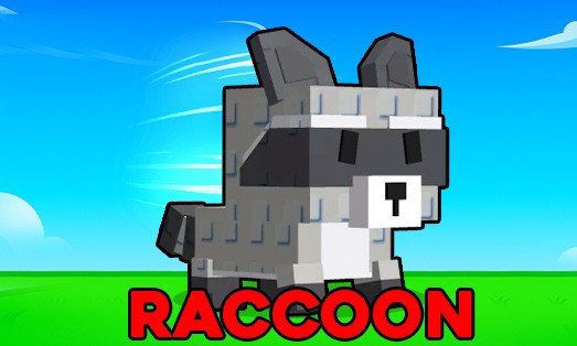 Raccoon